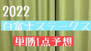 2022 白富士ステークス　単勝1点予想