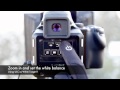 Using Phase One IQ Live View how it works in the field.