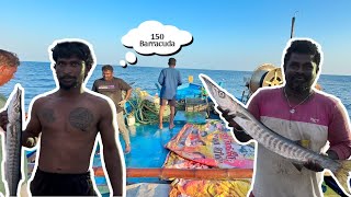 Wow ! Second We Caught 150 Barracuda Fishes in Hook Fishing | தூண்டிலில் 150 ஊழி மீன்கள் கிடைத்தது