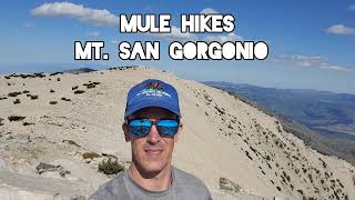 Mule hikes Mt San Gorgonio