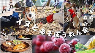 イヌとあそぼうねん会2024✨わんことお山でトレラン＆おしゃれカフェで最高の1日！