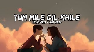 Tum Mile Dil Khile [Slowed + Reverb] - Arijit Singh version