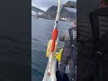 Fishing the Arctic Circle