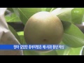 경기 폭염에 농사 희비 엇갈려 ytn