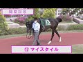 【競馬パドック】関屋記念・前走パドック（2021年）