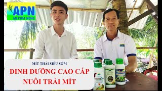 APN - [MÍT] DINH DƯỠNG CAO CẤP NUÔI TRÁI NUÔI CÂY MÍT - AMINO AXIT TÂY BAN NHA #anphatnong