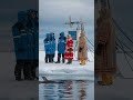 scientists and locals unite to protect seals – canada arctic animallovers wildlife nature