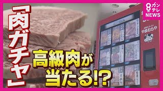 近江牛の“肉ガチャ”　「『こんなん当たった！』って楽しく食卓を囲んでほしい」　京都の精肉店がしかけ　どれが当たっても金額以上のプレミアム付き！　赤字覚悟の大展開で描く理想図【報道ランナー】