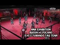 5 vs 5 Tornado Tag Team MMA Match | Poland DESTROYS Russia