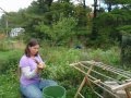 How to Herbs: Hang Drying