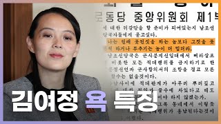 김여정 막말, 북한이 평소에 하던 욕과는 다르다... 뭔가 SNS글스러운?