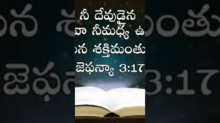 నీ దేవుడైన యెహోవా నీమధ్య ఉన్నాడు; ఆయన శక్తిమంతుడు, ఆయన మిమ్మును రక్షించును.🕊️