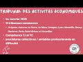 qu est ce que le tribunal des activités économiques 2025 la minute de droit ⏱️