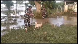 తన పిల్లలను కాపాడాలని ఒక కుక్క ఆవేదన | కృష్ణా జిల్లా నందిగామలో కుక్క పిల్లలను కాపాడిన పోలీసులు