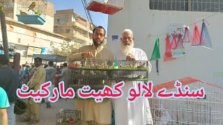 Sunday Lalukhet Market 8_12_2024 Farhan Birds Youtube Channel