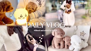 vlog┊愛犬と過ごす休日🐶🛋️ジェラピケ/ちいかわ購入品紹介🧴