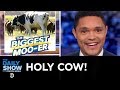 Australia’s Glorious Giant Cow | The Daily Show