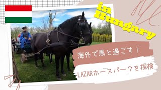 ハンガリーのホースパークを探索！美しい馬たちの馬車に乗ってみよう！！