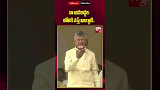 Chandrababu Mass Warning To YCP Leaders || నా ఆడబిడ్డల జోలికి వస్తే ఖబర్దార్..|| BIG TV LIVE