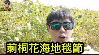 提姆微旅行 | 莿桐花海美不勝收 | 橙菊 波斯菊 向日葵 | 全國十大花海