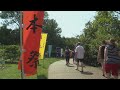 Japanese Festival returning to Missouri Botanical Garden for 46th year this weekend