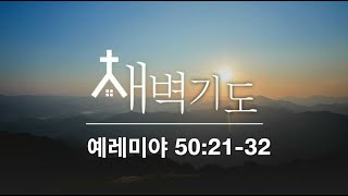 [포항큰숲교회] 24. 8.16 새벽기도회