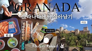 스페인 그라나다에서 7일동안 살아남기 A week in Granada