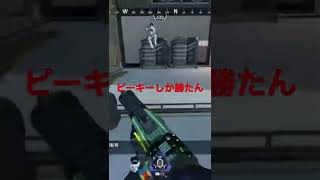 ＜APEX LEGENDS＞苦手なランページの練習しようと持ってたら……