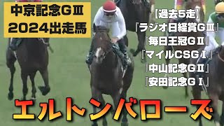 【過去5走】エルトンバローズ(牡4)『中京記念GⅢ』〈7/21出走馬〉