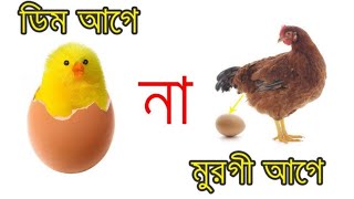 ডিম আগে না মুরগী আগে? | Which Came First- Chicken/Egg?