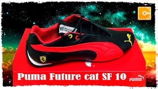 ferrari future cat 10