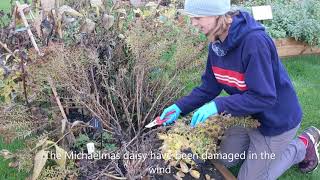 Autumn perennial pruning - pro tips