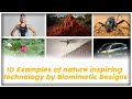 Amazing Techonologies Inspired by Nature: Biomimicry Examples