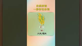 101 英语单词不用背，一拼就能会。先划分出音节，每个音节都是由元音和辅音拼成的。辅音比较简单，听到就写出来。