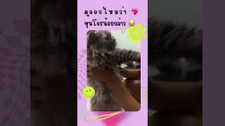 เจ้านายโดนฟัด5555 | Nammon Punyawi