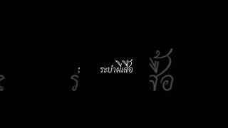 โคโจ ชิโนบุ ปราณแมลง🦋✨