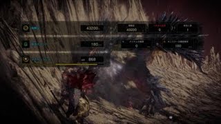 MHW:IB 倶に天を戴かず