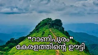 കേരളത്തിന്റെ ഊട്ടി എന്നറിയപ്പെടുന്ന റാണിപുരം /ranipuram hill station /kerala ooty/ Bibuka /travel