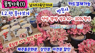 꽃빛다육 (3) 1.2편 몰아보기 💥 방문 10~30% 꽃처럼 예쁜 에오니옴 가격 착한 수제화분 할인