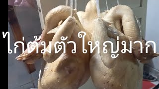 ต้มไก่ไหว้เทศกาลตรุษจีน