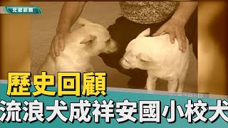 歷史 回顧|宣導夏日戲水安全 首重自救防溺