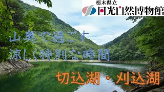 暑さを忘れる絶景の湖 切込湖・刈込湖＜2023年7月18日＞【奥日光自然情報】