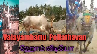 வளையாம்பட்டு பொல்லாதவன்|| ஹோம் வீடியோ|| valayambattu Pollathavan|| At home #thirupatturearuthukattu