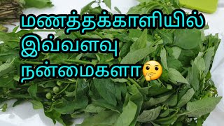 மணத்தக்காளி கீரையின் அதிசய நன்மைகள் | Black nightshade uses in tamil | Manathakkali keerai benefits