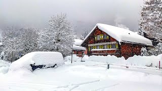 Heavy snowfall in Klosters ❄️ Switzerland 4K 🇨🇭