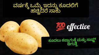 👉ಯಾವುದೇ ಹೇರ್ ಕಲರ್ ಹೇರ್ ಡೈ ಬೇಡ ಒಂದು ಸೆಕೆಂಡ್ ನಲ್ಲಿ ಎಲ್ಲಾ ಬಿಳಿ ಕೂದಲು ಕಪ್ಪಾಗುತ್ತೆ ನ್ಯಾಚುರಲ್ ಹೇರ್ ಕಲರ್