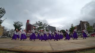 山口県立大学よさこい部奄美連合萩組 第11回黒崎よさこい曲里の松並木公園会場