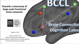 BrainMap: Towards a taxonomy of large-scale brain networks