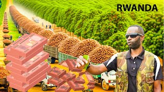 RWANDA INKURU NZIZA IGITI KERA AMAFARANGA CYABONETSE👍MACADAMIA NAWE DORE UKO YAHINDURA UBUZIMA BWAWE