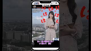 【小川千奈】「せんちゃん蚊を見張る！」【ウェザーニュース】#shorts